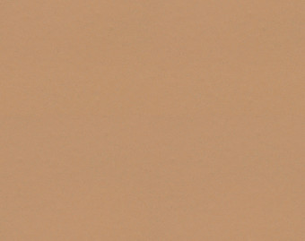 [1001111114_2] Surestep balance - 173952 blush